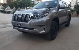 Toyota Landcruiser Prado