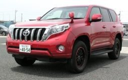 Land Cruiser Prado TX L